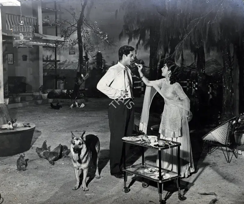 Dhuri, D.K. (Cinematographer), Love In Simla, 1960 | Photographic Still | CinemaEducation | 00886055
