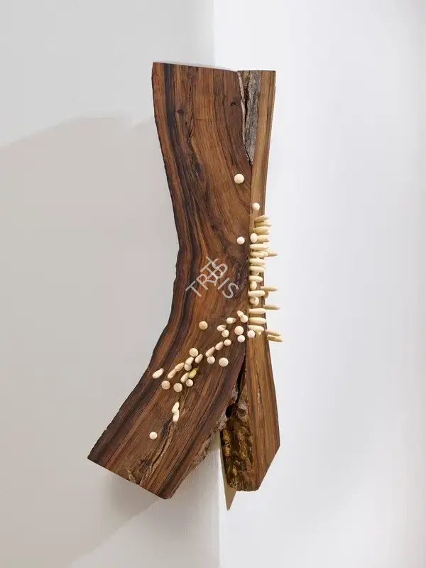 Shettar, Ranjani (Artist). Remanence from Last Night's Dream. Rosewood and lacquered wood, 2011 | Sculpture | FineArts | 00355365