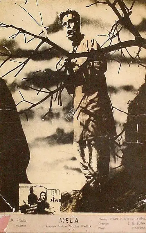 Mistry, Fali (Cinematographer), Mela, 1948 | Lobby Card | CinemaEducation | 00820206