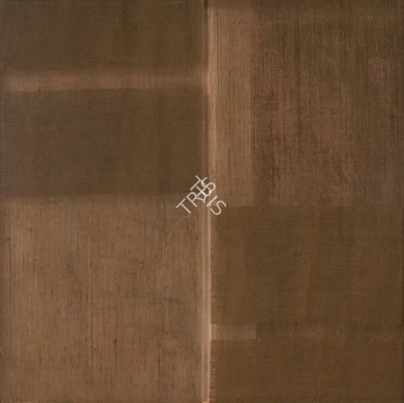 Nai, Manish Limbhachiya (Artist). Untitled. Mixed media on canvas, 2004 | Painting | FineArts | 00603788