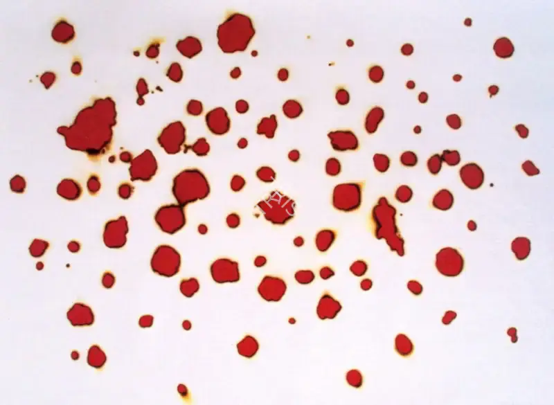 Balasubramaniam, A. (Artist). Untitled. Burnt paper and mixed media, 2002 | Drawing | FineArts | 00575606