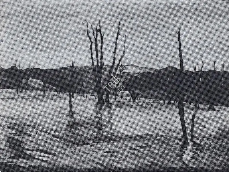 Sabavala, Jehangir (Artist). Petrified Trees 1, 1985 | Painting