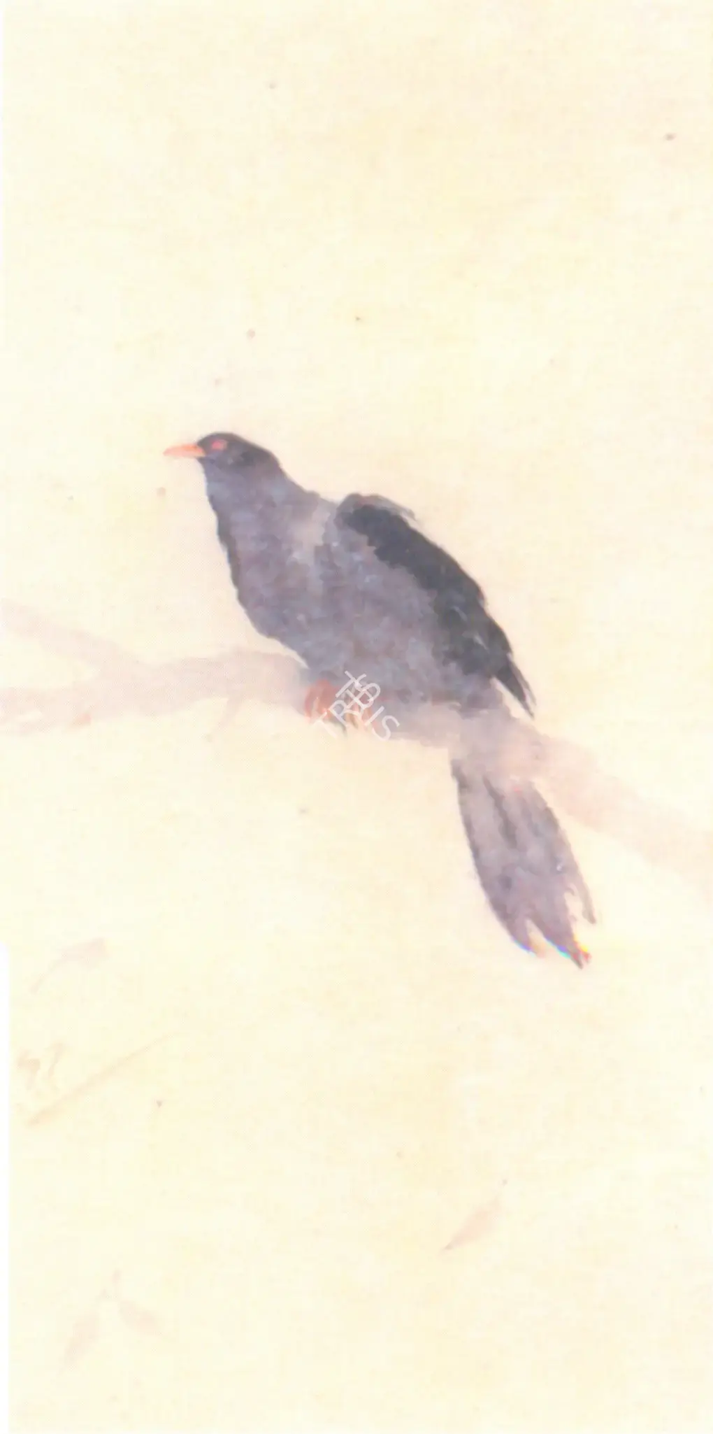 Tagore, Gaganendranath (Artist). Bird On Branch, n.d. | Painting