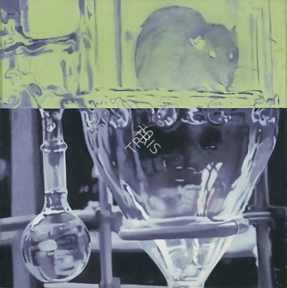 Santhosh, T.V. (Artist). Untitled, 2004 | Painting