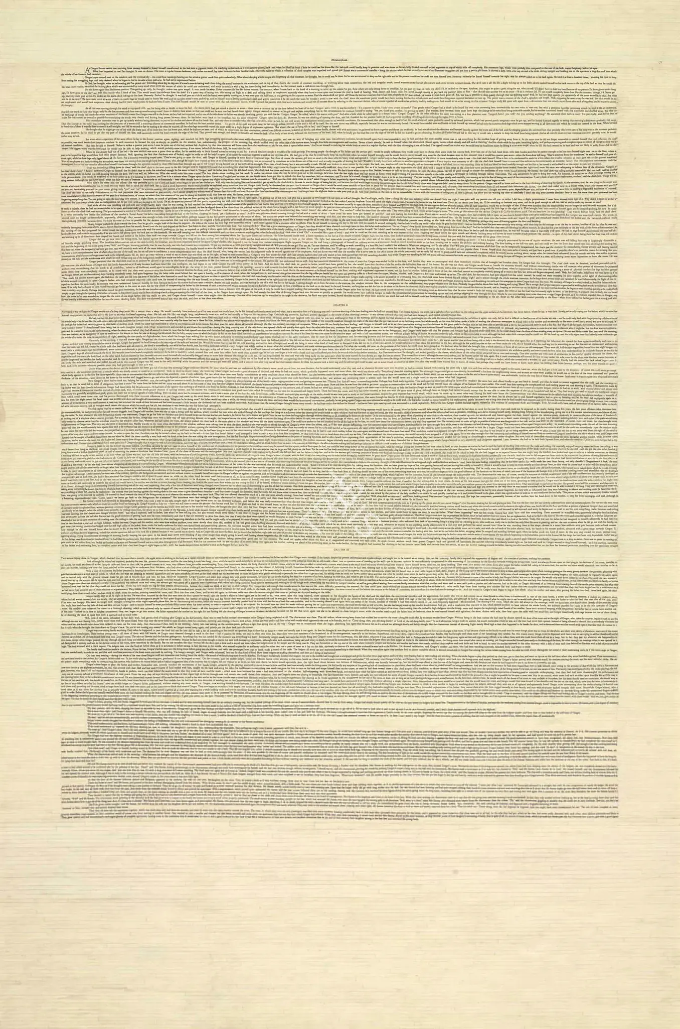 Jokhio, Ayaz (Artist). Metamorphosis Text. Printed on paper laid on board, 2008 | Graphic Art | FineArts | 00645158