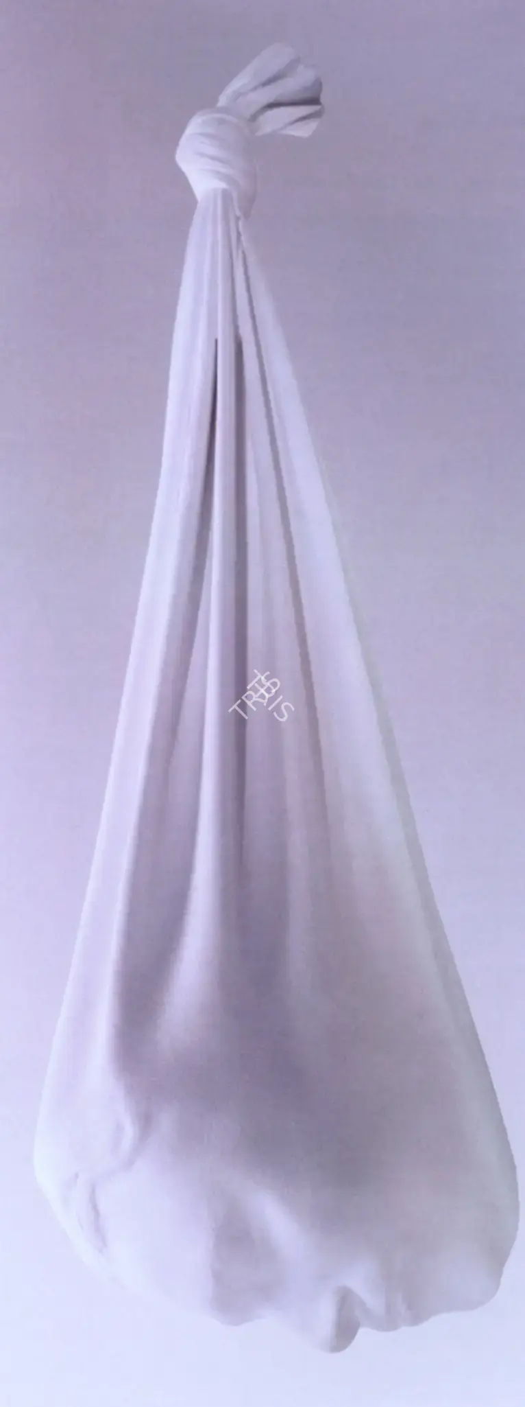 Balasubramaniam, A. (Artist). Gravity. Fibreglass and acrylic, 2006 | Sculpture | FineArts | 00900171
