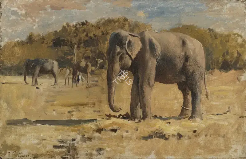 Weeks, Edwin Lord (Artist). Elephant, Ajmere, n.d. | Painting