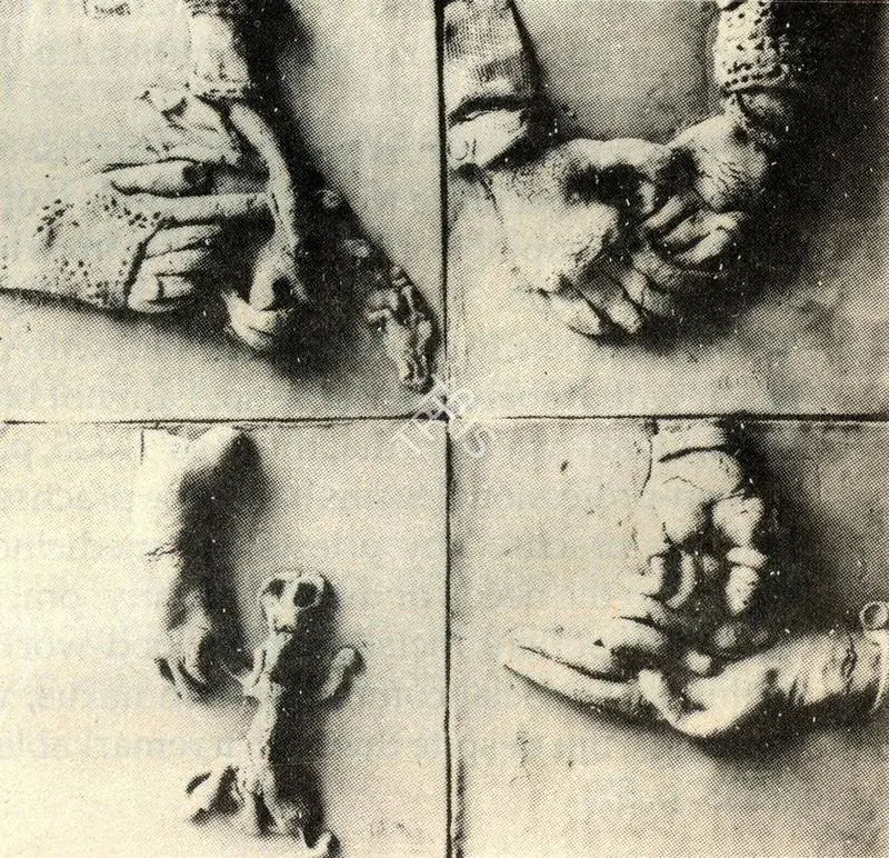 Subramanyan, K.G. (Artist). Fishes and Fossils, 1977 | Sculpture