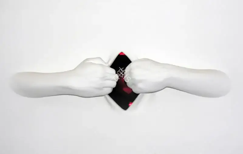 Balasubramaniam, A. (Artist). Exposed Self. Fibreglass cast from self, acrylic and PVC, 2004 | Painting  | 00866627