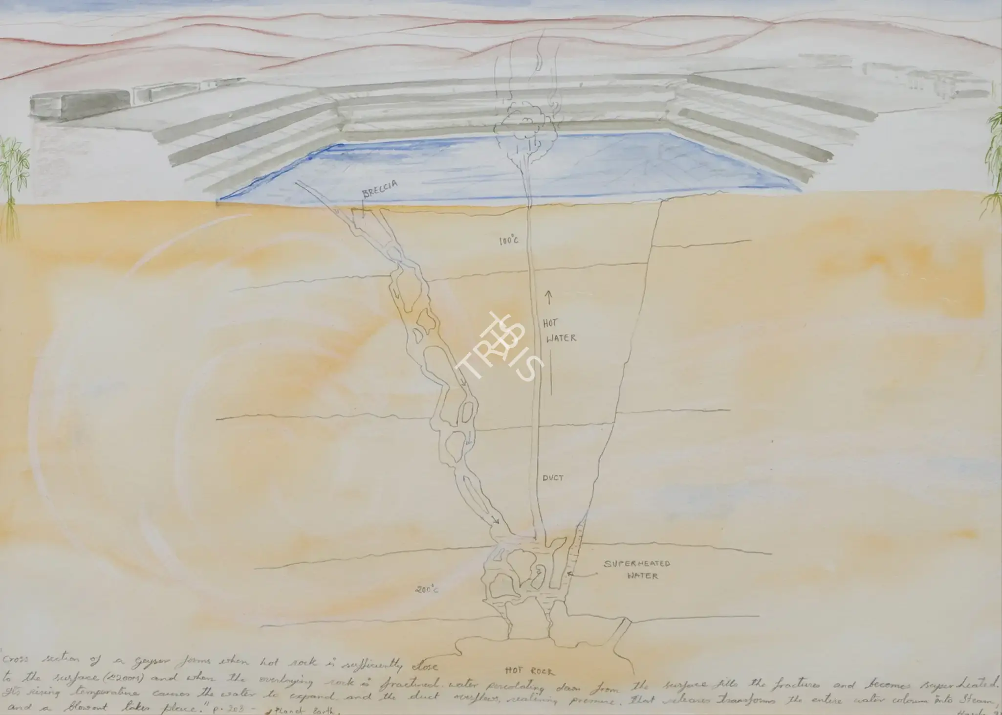 Harsha, N.S. (Artist). Untitled. Watercolour on paper, 1997 | Painting | FineArts | 00901084