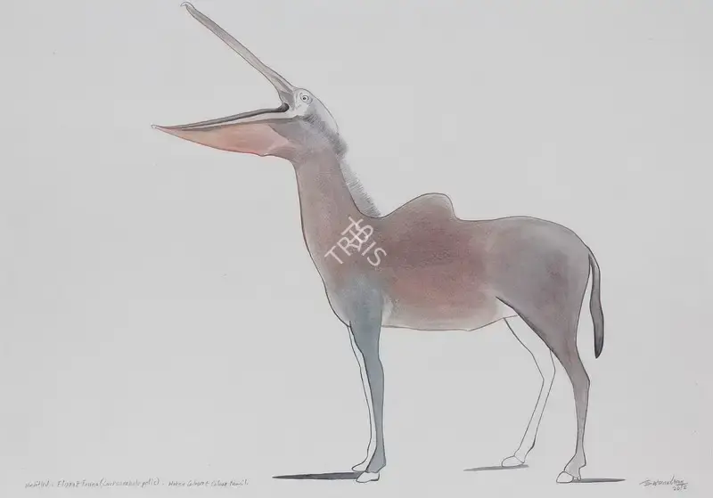 Nair, Surendran (Artist). Untitled: Flora And Fauna (Cuckoonebulopolis). Coloured pencil and watercolour on paper, 2012 | Painting | FineArts | 00646342