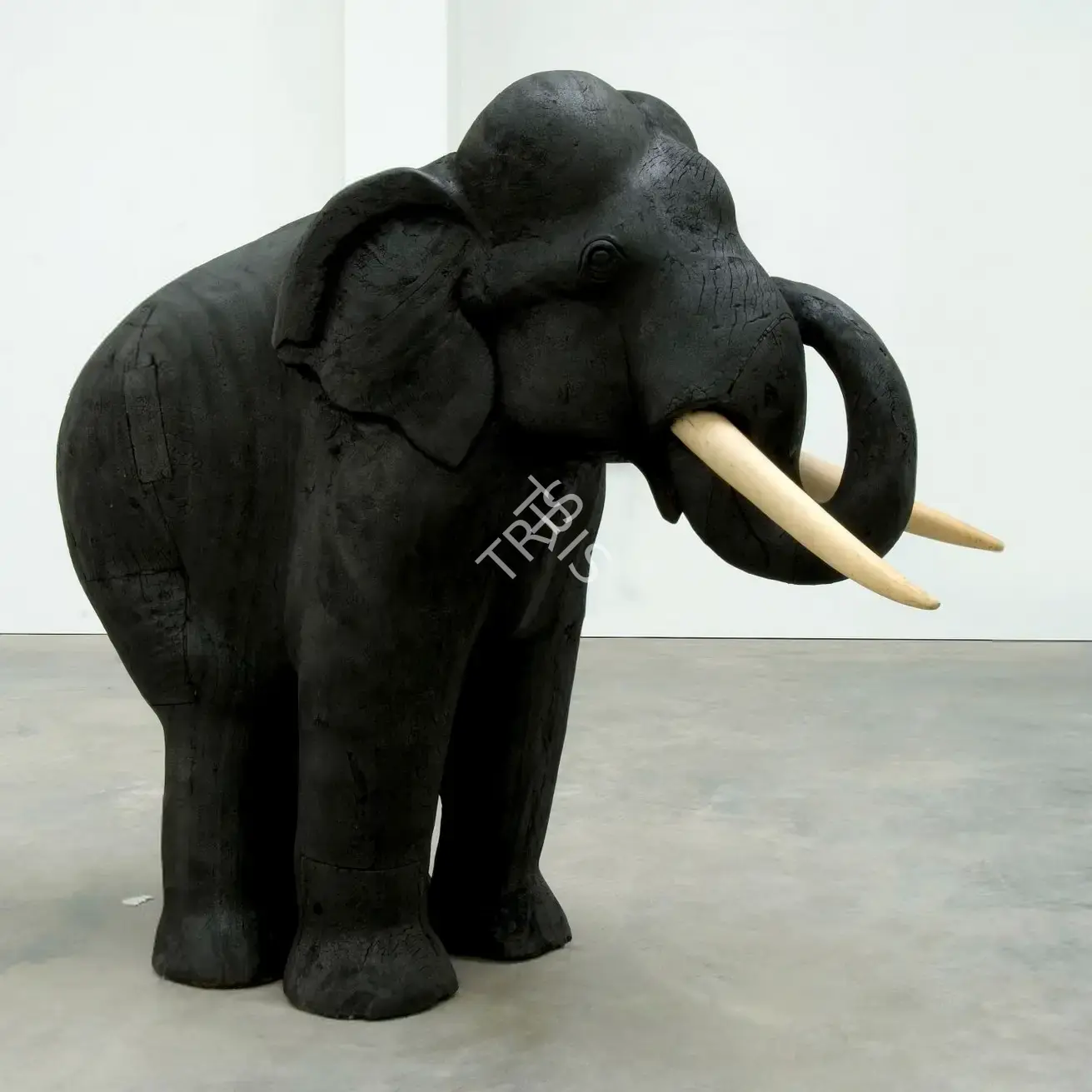 Tallur, L.N. (Artist). Esophageal Reflux Part 2. Burnt wood and silver, 2006 | Sculpture | FineArts | 00645255