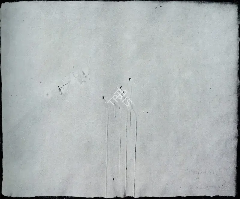 Hore, Somnath (Artist). Wounds, 1977 | Print