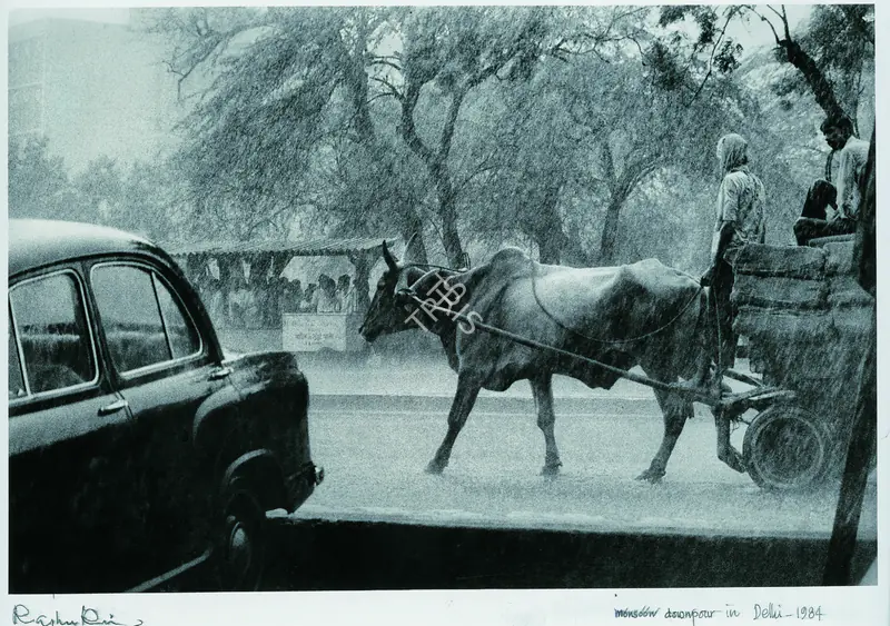 Rai, Raghu (Photographer). Monsoon In Delhi. Ilford-Multigrade RC– Pearl Warmtone, 1985 | Contemporary Photograph | Photography | 00114933