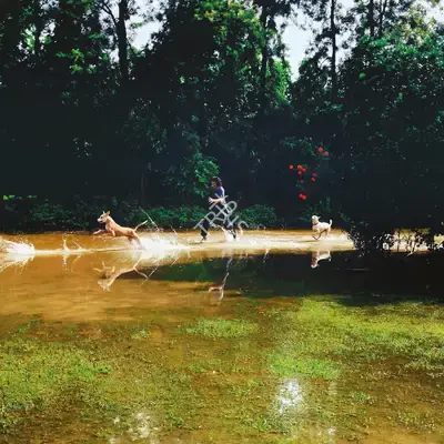 Vision image 01