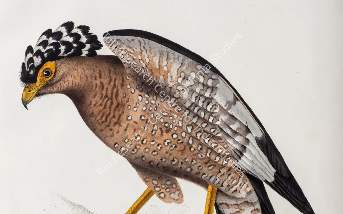Antiquarian Books — featured artwork