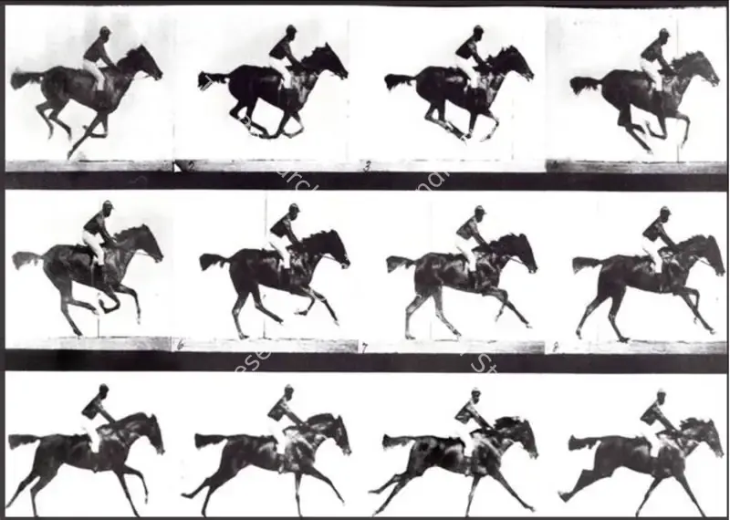 The Horse in Motion (1878): featured artwork