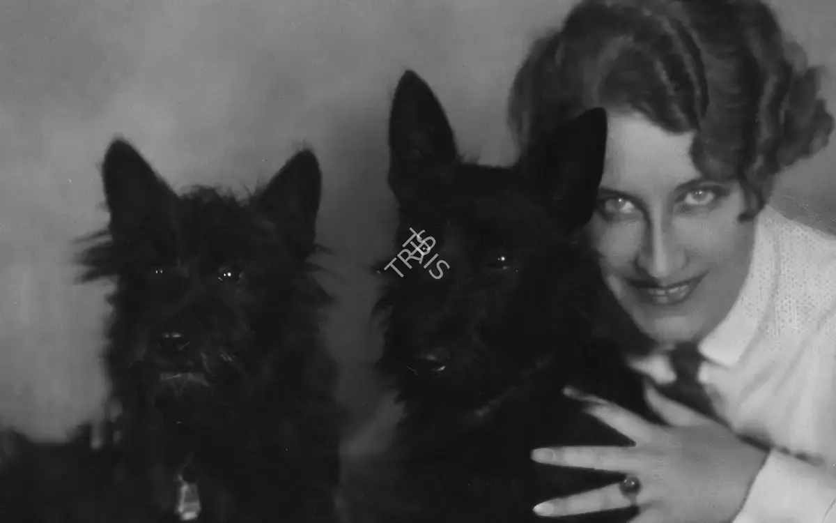 Thea von Harbou