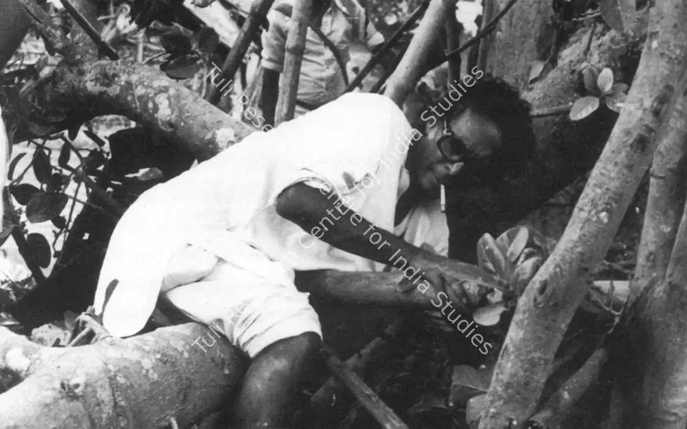 Mrinal Sen — featured artwork