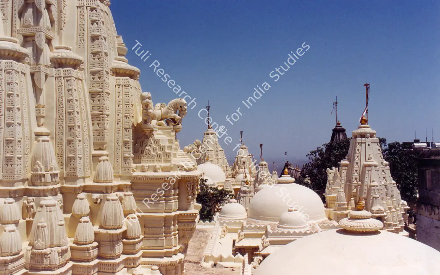 Shatrunjaya (Palitana) — featured artwork