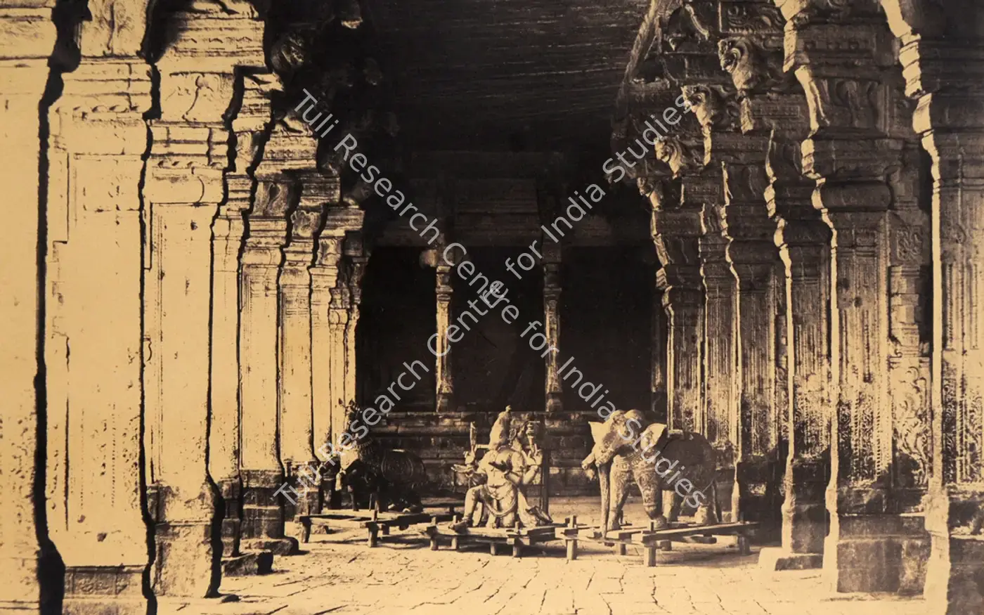 Capt. Linnaeus Tripe — featured artwork