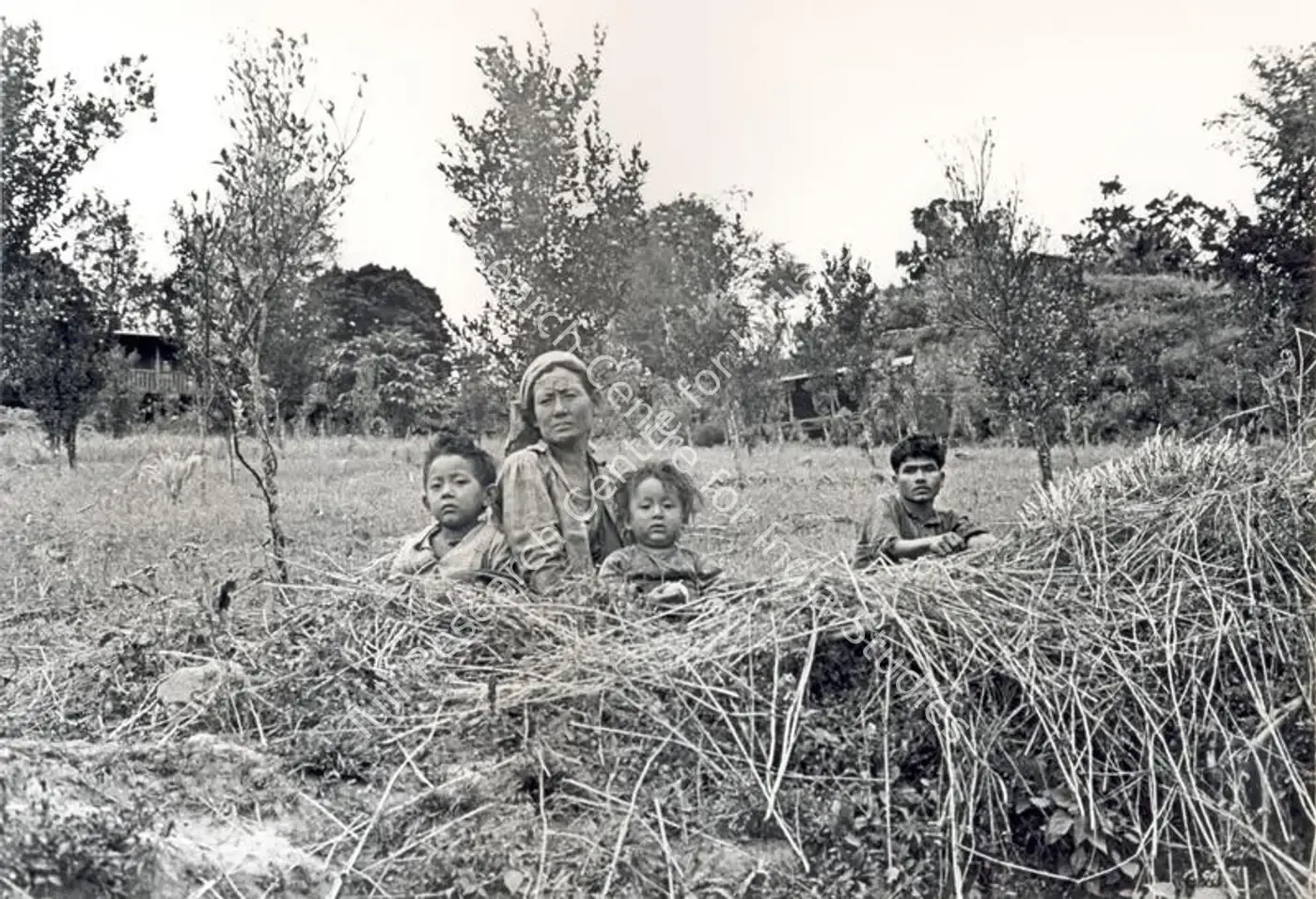 Roy, Soumendu (Cinematographer), Sikkim, 1971 | Photographic Still | CinemaEducation | 00891462