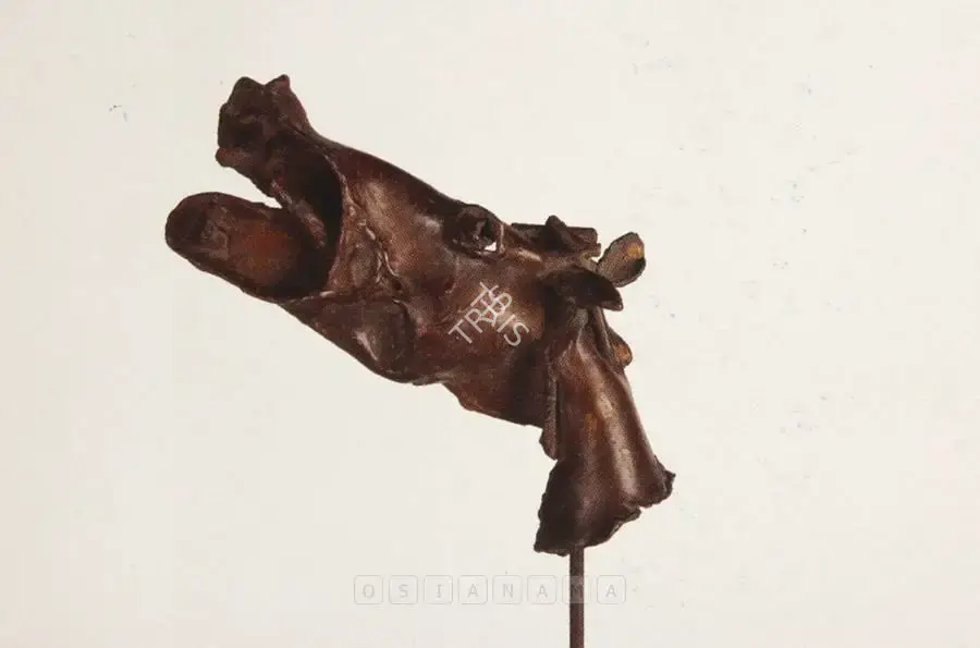Hore, Somnath (Artist). The Battered Head Of A Horse. Bronze, 1988 | Sculpture | FineArts | 00376010