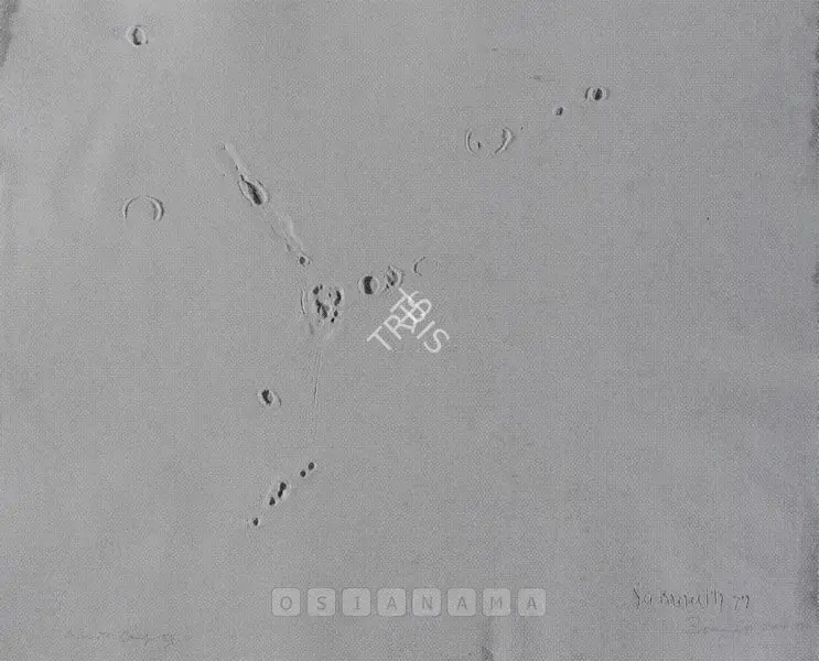 Hore, Somnath (Artist). Wounds. Handmade Caste paper, 1979 | Drawing | FineArts | 00600112