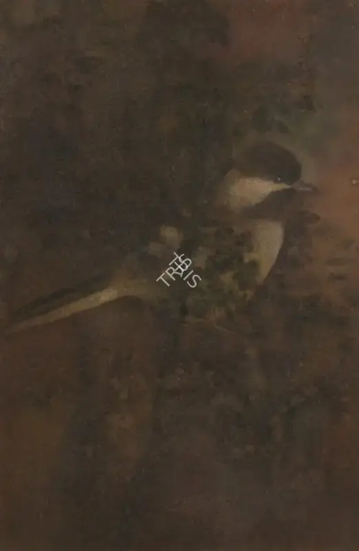 Tagore, Abanindranath (Artist). Untitled (Bird on Tree). Watercolour on paper, circa 1930s | Painting | EconomicsArt | 00870047