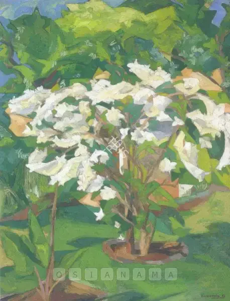 Sabavala, Jehangir (Artist). White Bougainvillaea. Oil on board, 1956 | Painting | FineArts | 00600606