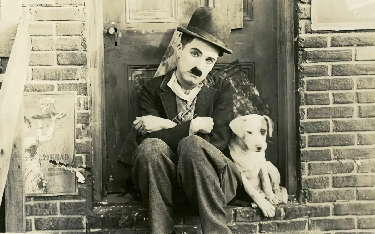 A Dog's Life 1918