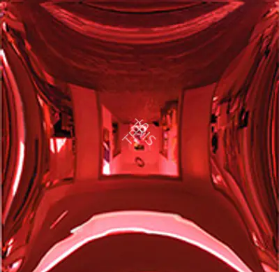 Anish Kapoor