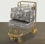 Subodh Gupta