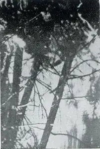 Unknown (Photographer). Untitled, n.d. | Contemporary Photograph