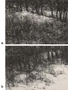 Singh, Paramjit (Artist). Untitled, 2004 | Drawing