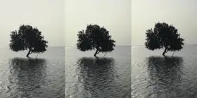 Bhalla, Atul (Artist). Alone And Again, 2007 | Print