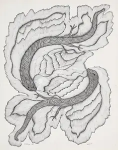 Shyam, Jangarh Singh (Artist). Sanphadki Saap, 1994 | Drawing