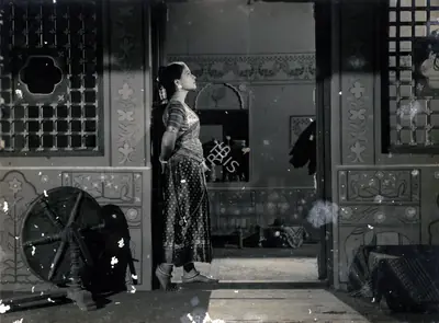 Reddy, V.N. (Cinematographer), Baiju Bawra, 1952 | Photographic Still