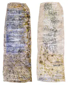Chakravarty, Jayashree (Artist). Space Within (Double-Sided), 2005 | Painting