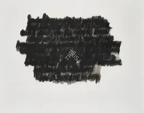 Dube, Anita (Artist). Short Stories By Kafka - The Truth About Sancho Panzo, 2012 | Painting