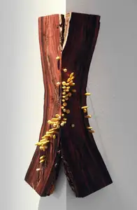 Shettar, Ranjani (Artist). Remenence from Last Night's Dream, 2011 | Sculpture