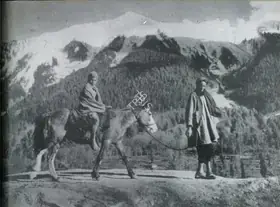 Batliwala, Soli (Photographer). The Old Man, the Mule and the Child, n.d. | Contemporary Photograph