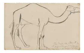 Sher-Gil, Amrita (Artist). Camel, 1941 | Drawing