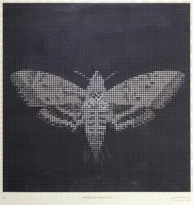 Parthan, Baiju (Artist). Process (Hawkmoth), 2007 | Print