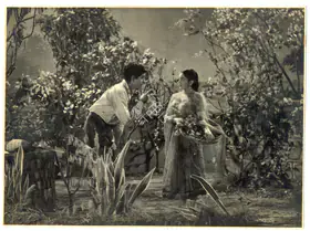 Mistry, Jal (Cinematographer), Anokha Pyar, 1948 | Photographic Still