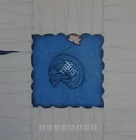 Khalid, Aisha (Artist). Behind The Curtain, 2004 | Painting