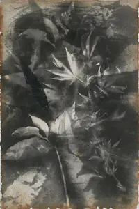 Khanna, Krishen (Artist). Untitled, 1960s | Painting