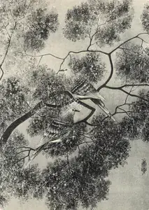 Menon, K. Madhava (Artist). Bird Study, n.d. | Painting