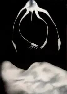 Broota, Vasundhara Tewari (Artist). Approach, 1985 | Drawing