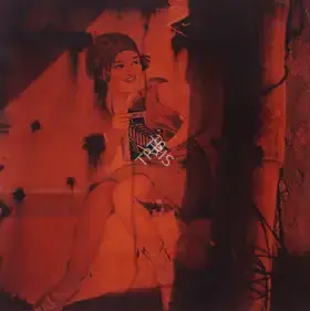 Singh, Dayanita (Artist). Dream Villa 4, 2007-2008 | Print